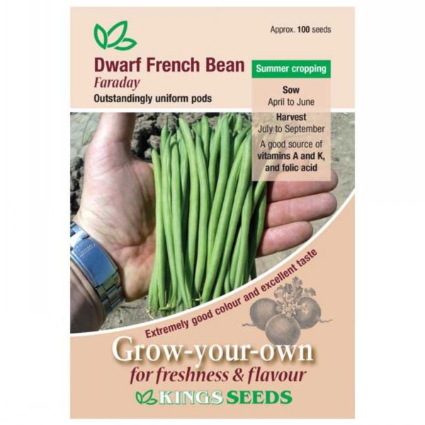 Kings Seeds French Bean Dwarf Faraday