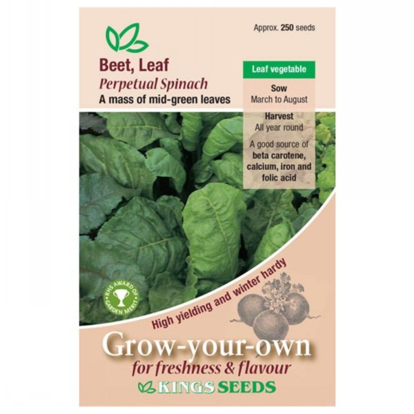 Kings Seeds Beet Leaf Perpetual Spinach