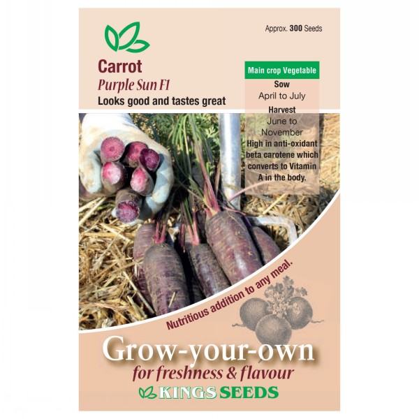 Kings Seeds Carrot Purple Sun F1