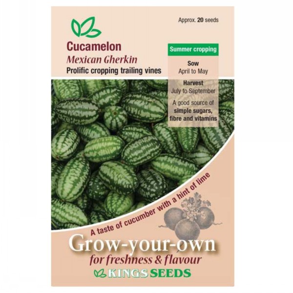 Kings Seeds Cucumber Mexican Gherkin
