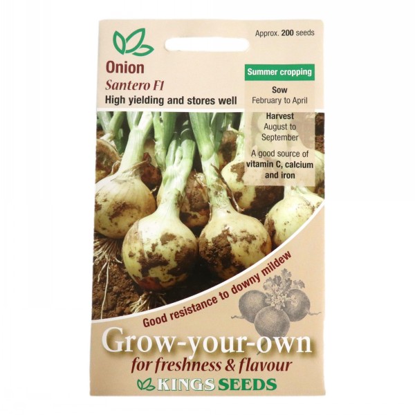 Kings Seeds Onion Santero F1