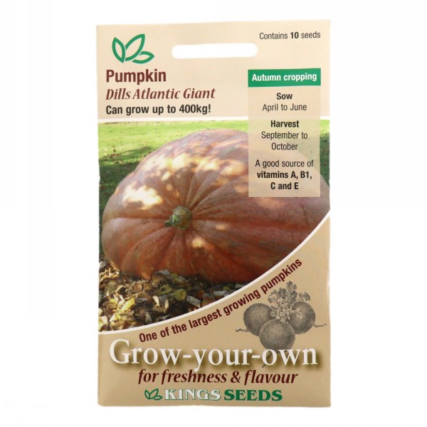 Kings Seeds Pumpkin Dills Atlantic Giant