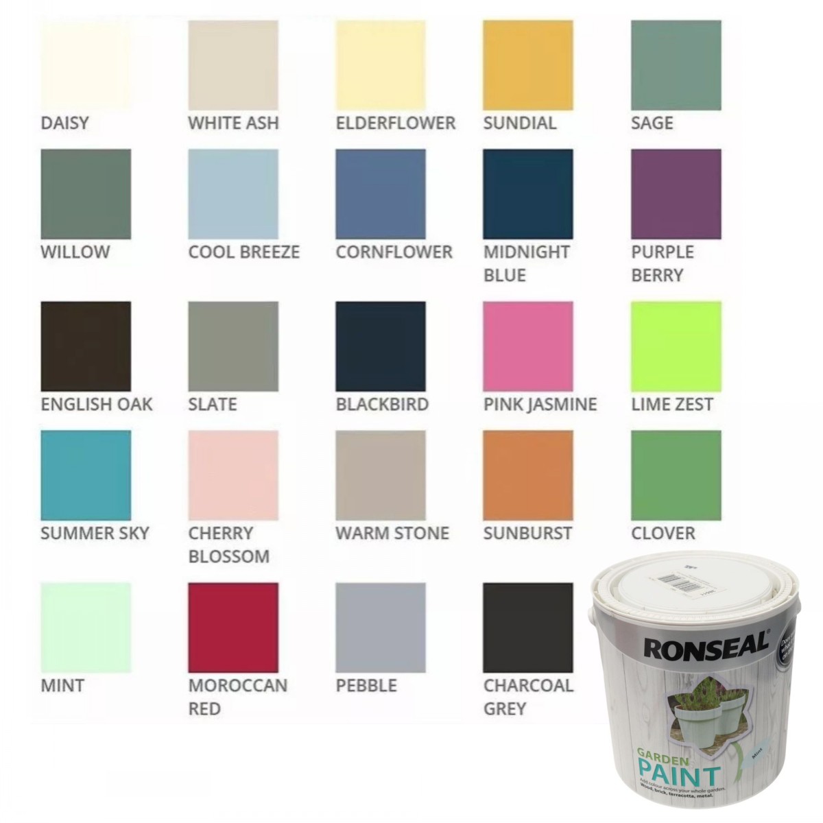 Ronseal Garden Paint 2.5 Litres