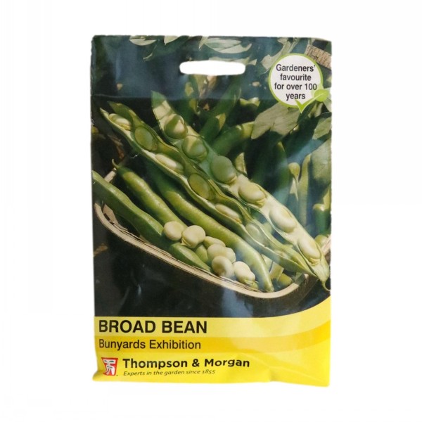 Thompson & Morgan Broad Bean Bunyards Exhibition