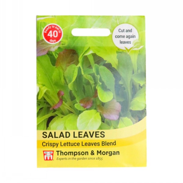 Thompson & Morgan Salad Leaves Crispy Lettuce Blend
