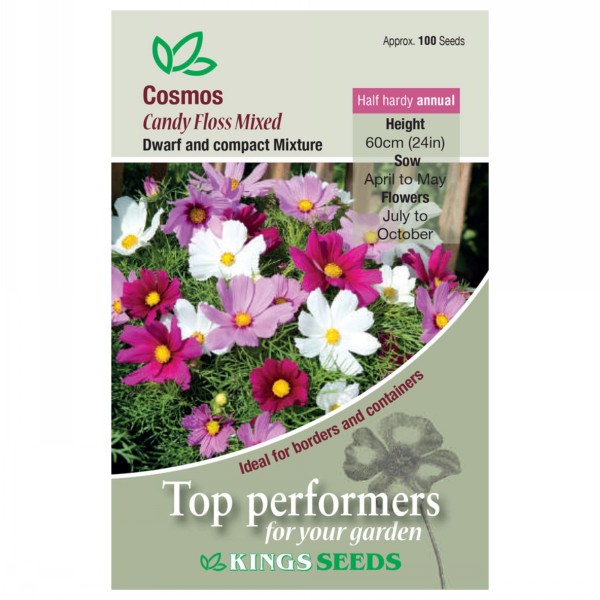 Kings Seeds Cosmos Candyfloss Mixed