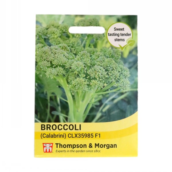 Thompson & Morgan Broccoli Calabrini F1