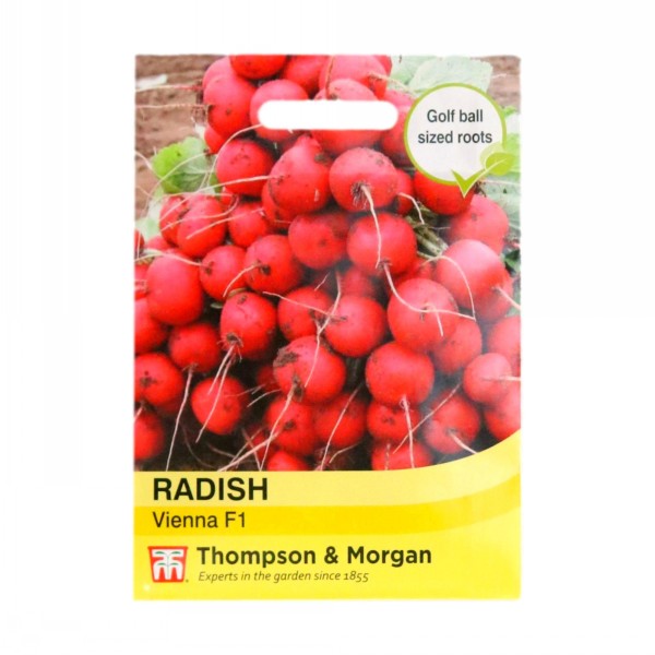 Thompson & Morgan Radish Vienna F1