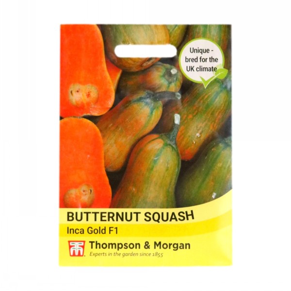 Thompson & Morgan Butternut Squash Inca Gold